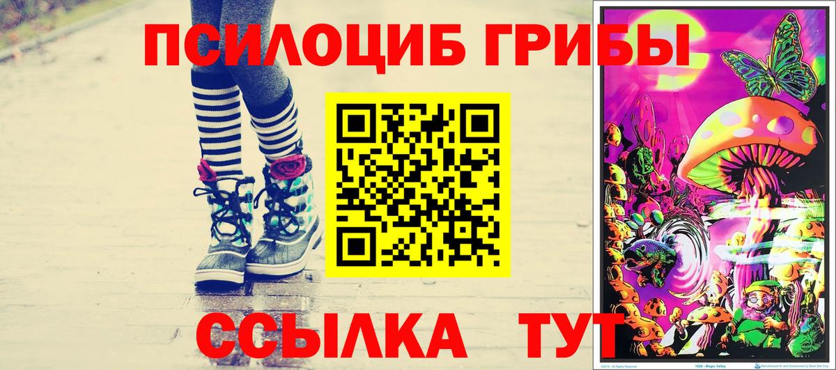 закладки  Галлюциногенные грибы GOLDEN TEACHER  Вход с VPN  Жуковский  Галлюциногенные грибы Psilocybine cubensis 